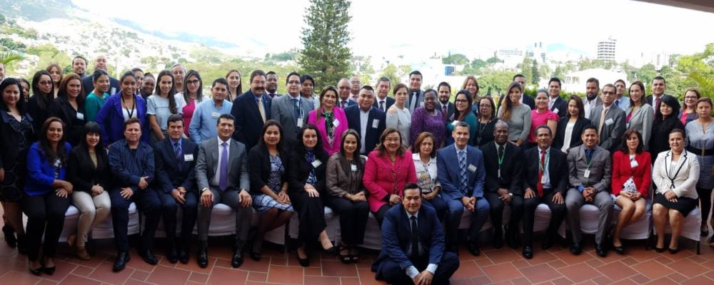 IAIP- OEA CLAUSURAN TALLER DE ACCESO EQUITATIVO A LA INFORMACIÓN PÚBLICA Y LA PROTECCIÓN DE DATOS PERSONALES