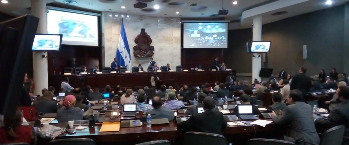 CONGRESO NACIONAL APROBÓ  7 ARTÍCULOS MÁS DE LA LEY DE PROTECCIÓN DE DATOS PERSONALES, INICIATIVA PRESENTADA POR EL INSTITUTO DE ACCESO A LA INFORMACIÓN PÚBLICA