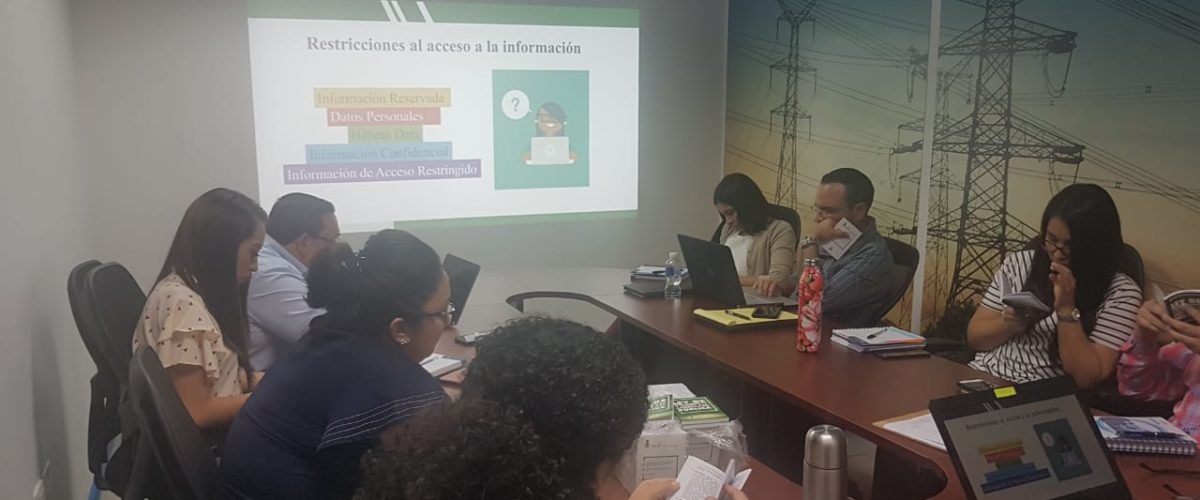 IAIP capacitó a Servidores Públicos de la Secretaría de Estado en el Despacho de Energía