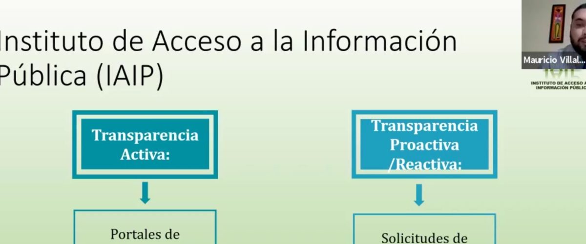 El IAIP participa en el taller: «El Acuerdo de Escazú, una herramienta para la democracia, hacia la sostenibilidad y la justicia ambiental»