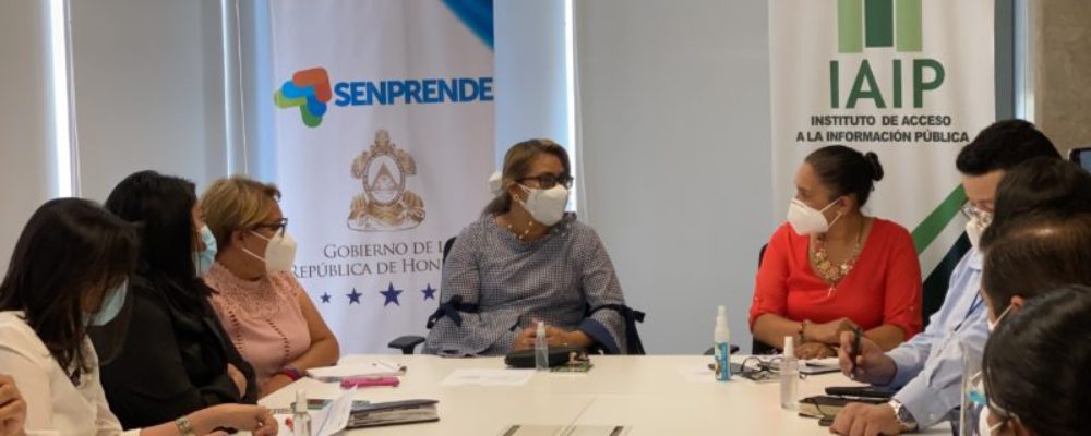 IAIP impartió Taller sobre Transparencia y Acceso a la Información a   personal de SENPRENDE