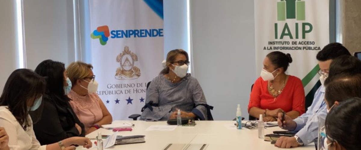 IAIP impartió Taller sobre Transparencia y Acceso a la Información a   personal de SENPRENDE