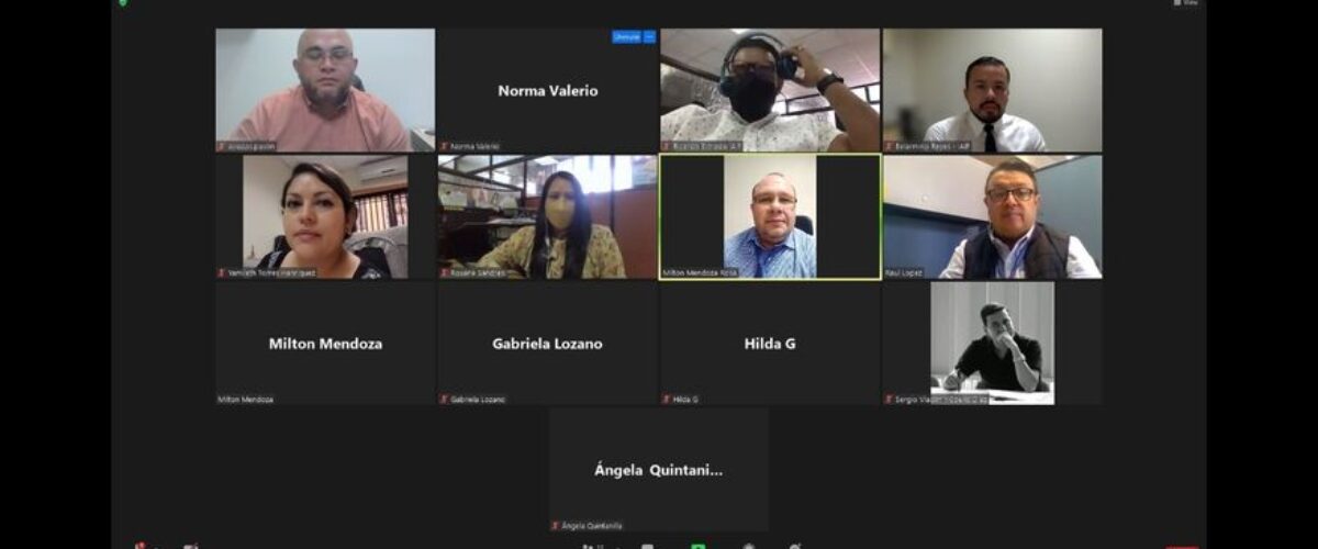 Miembros del Comité de Control Interno (COCOIN) del IAIP, se reunieron para analizar las actividades que contiene la Circular No. 001-2021