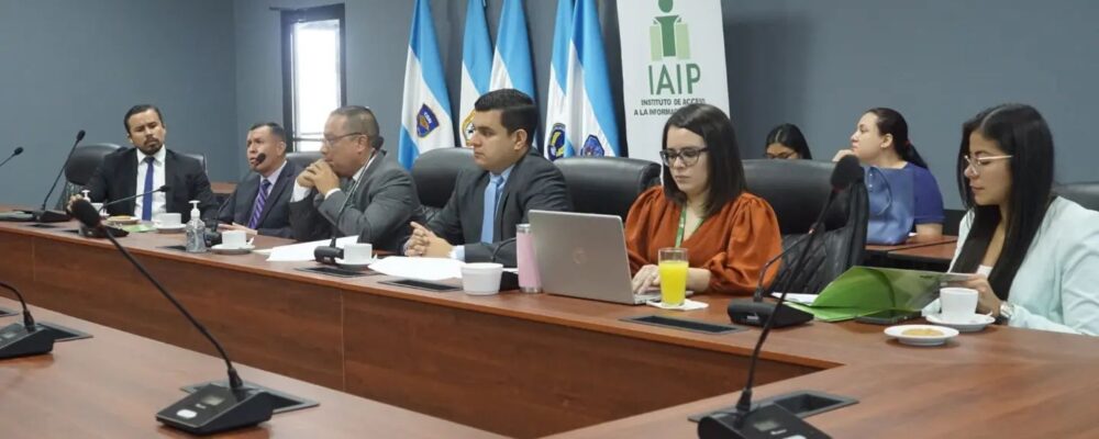 El IAIP realizó una presentación sobre los logros de gestión 2019-2022 en Transparencia y Derecho de Acceso a la Información Pública para la Tutela del Derecho a la Libertad de Expresión, ante representantes de la CIDH